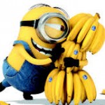 Profile photo of Tim