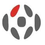 Profile photo of David